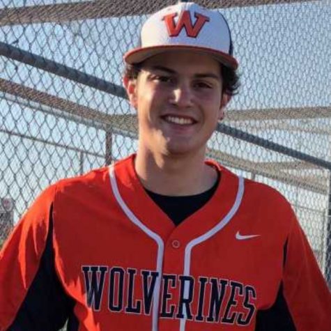 From A Wolverine To A Horned Frog
