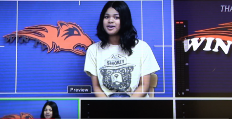 Lights, Camera, Stream!