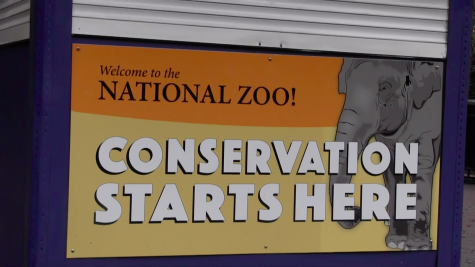 What Goes on Behind Closed Cages?