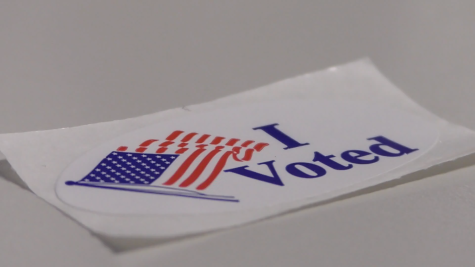 Learning Your Vote Is Your Voice