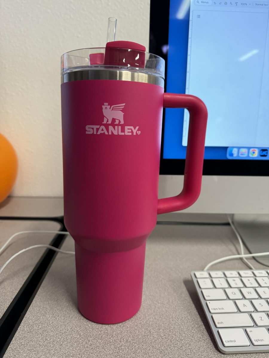 Chaos Over Limited Edition Stanley Cups at Target, Resale Over $100