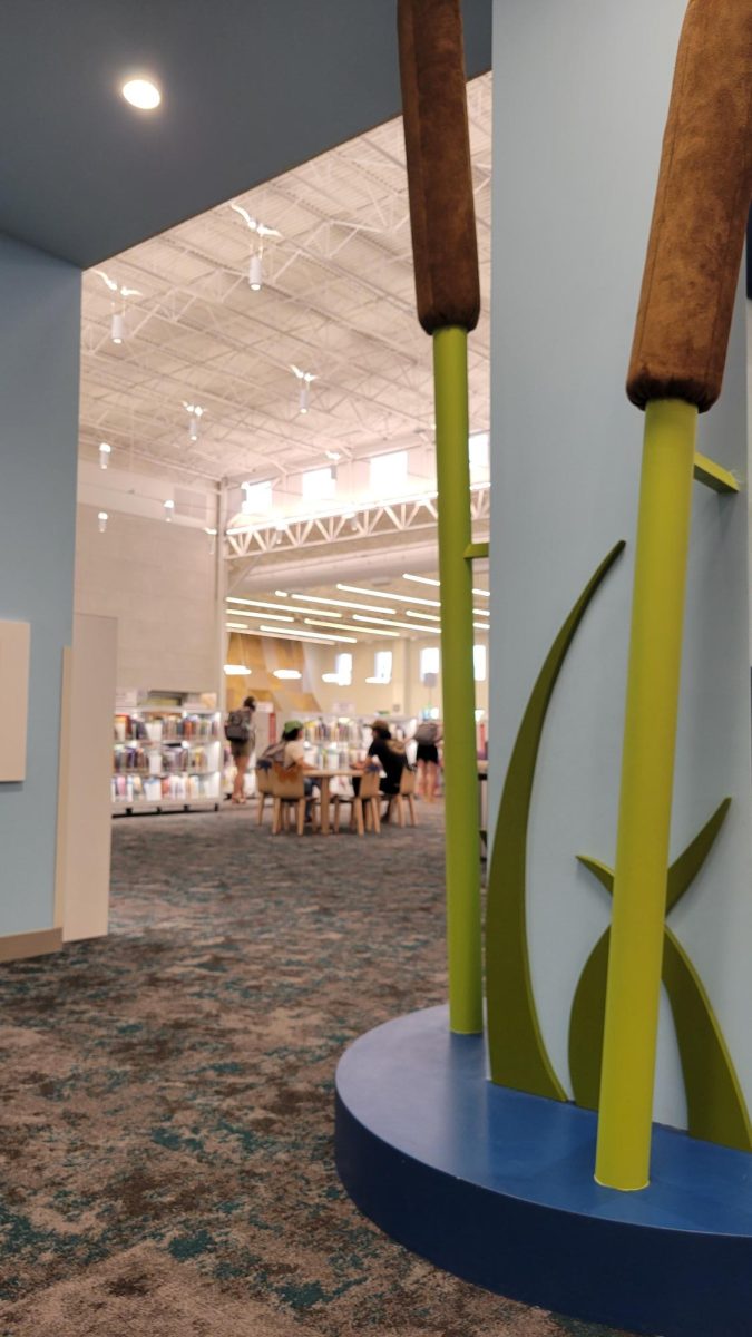 Lily pads at the library? From the downstairs toddler area to the various study spaces upstairs, the Frisco Library offers relaxing, innovative spaces to study or read.