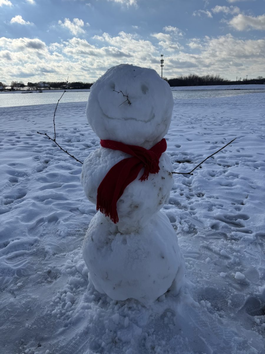 Lone Star Chill! A rare snowman emerges during Texas' extended winter weekend shutdown, captured in this wintry scene by journalist Chloe Aviles.