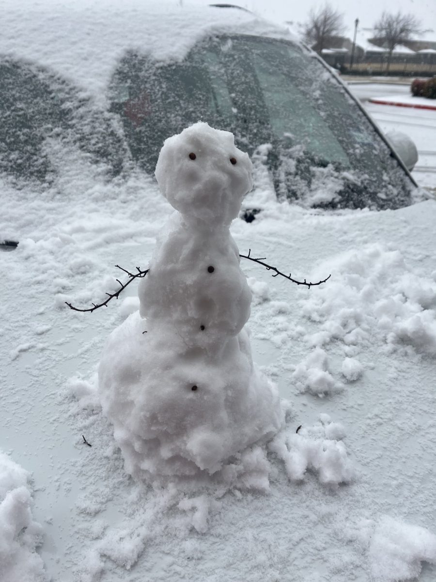 Wakeland students take the rare opportunity to build snowmen this weekend. 