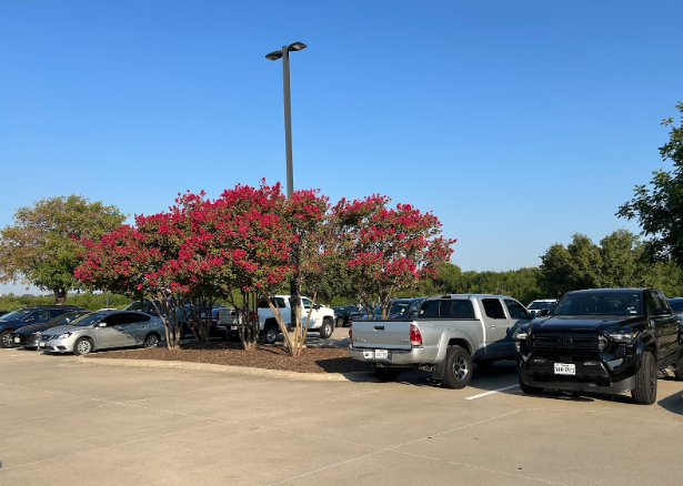 Parking Lot Safety Concerns Grow at Wakeland