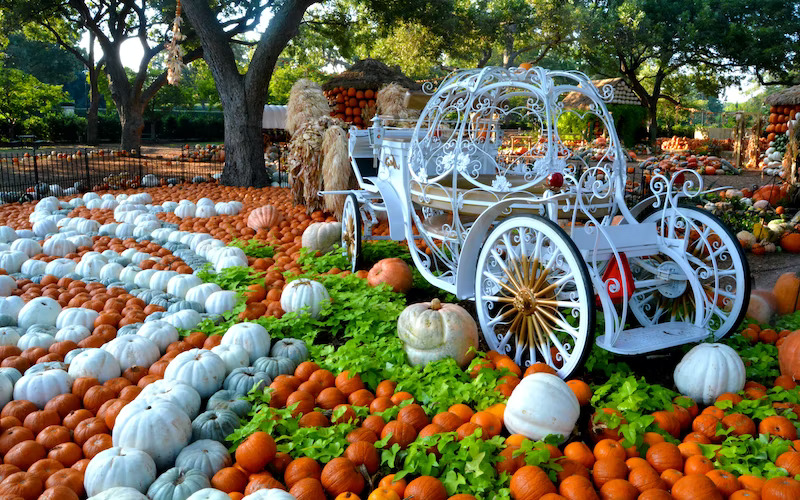 Image via The Grove Frisco.