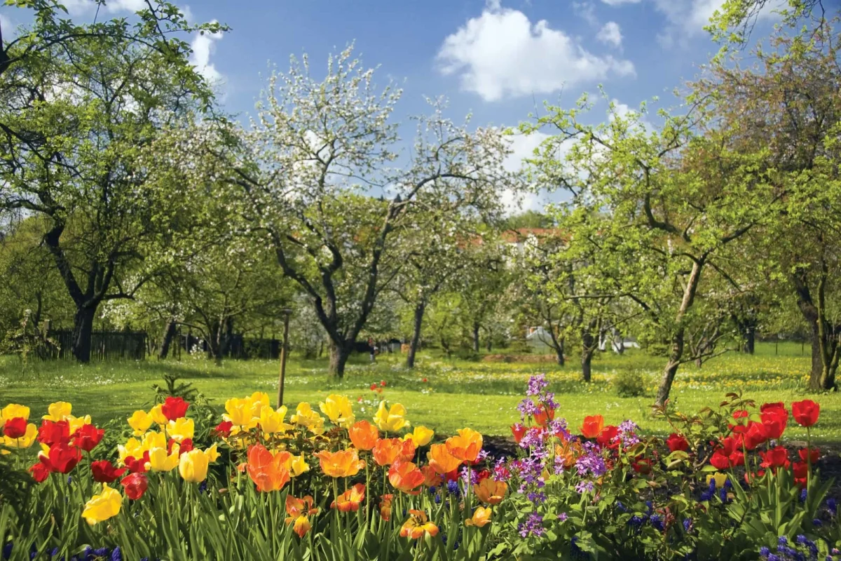Spring Events Countdown