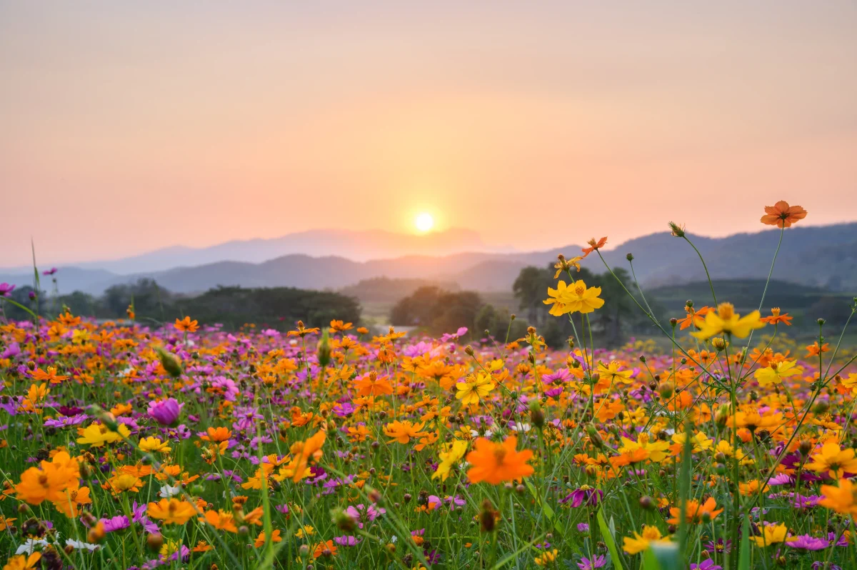 Image via GettyImages